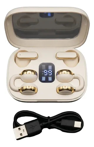 A284 Audifono Duo Estuche Gold Q10